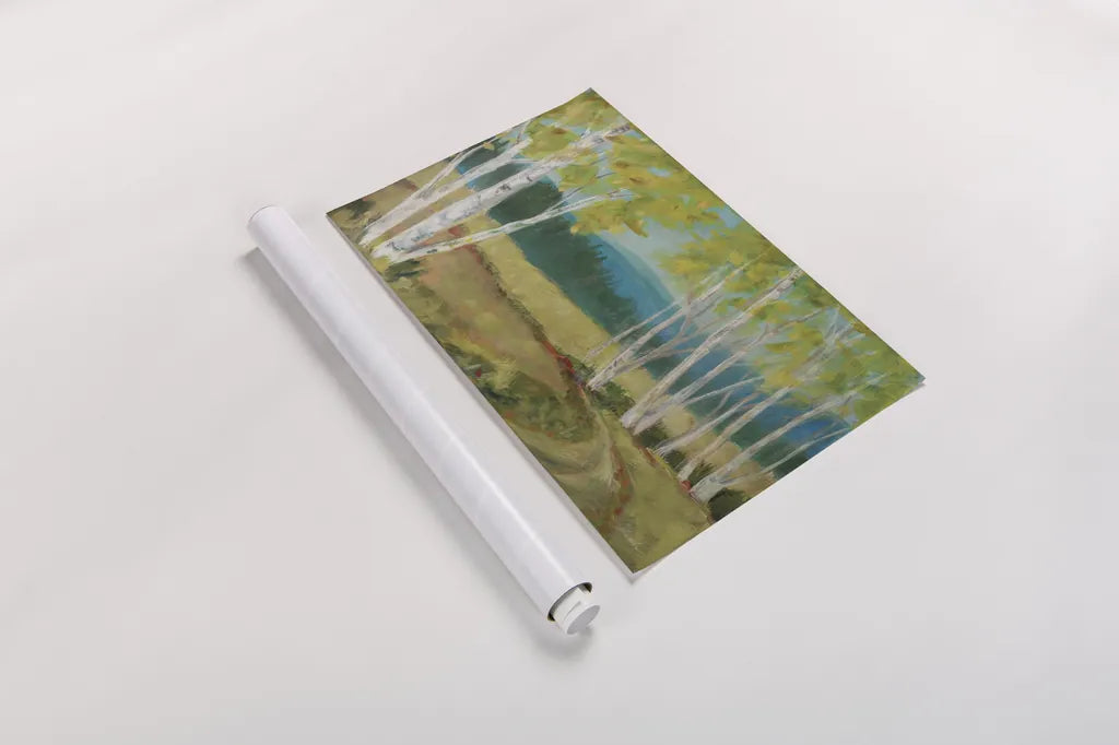 Birch Road by Sue Schlabach. shown as a rolled paper print. Available as archival giclee rolled canvas, fine art paper, or poster print. SKU 68634i.