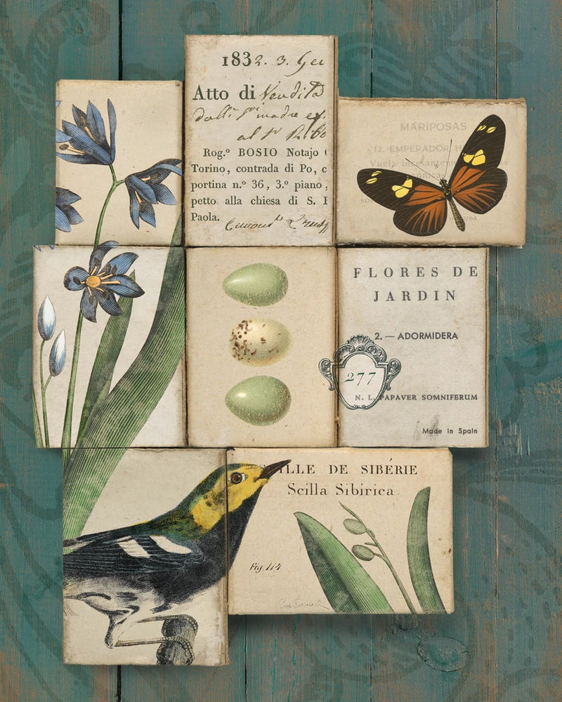 Birds and Butterflies I by Sue Schlabach