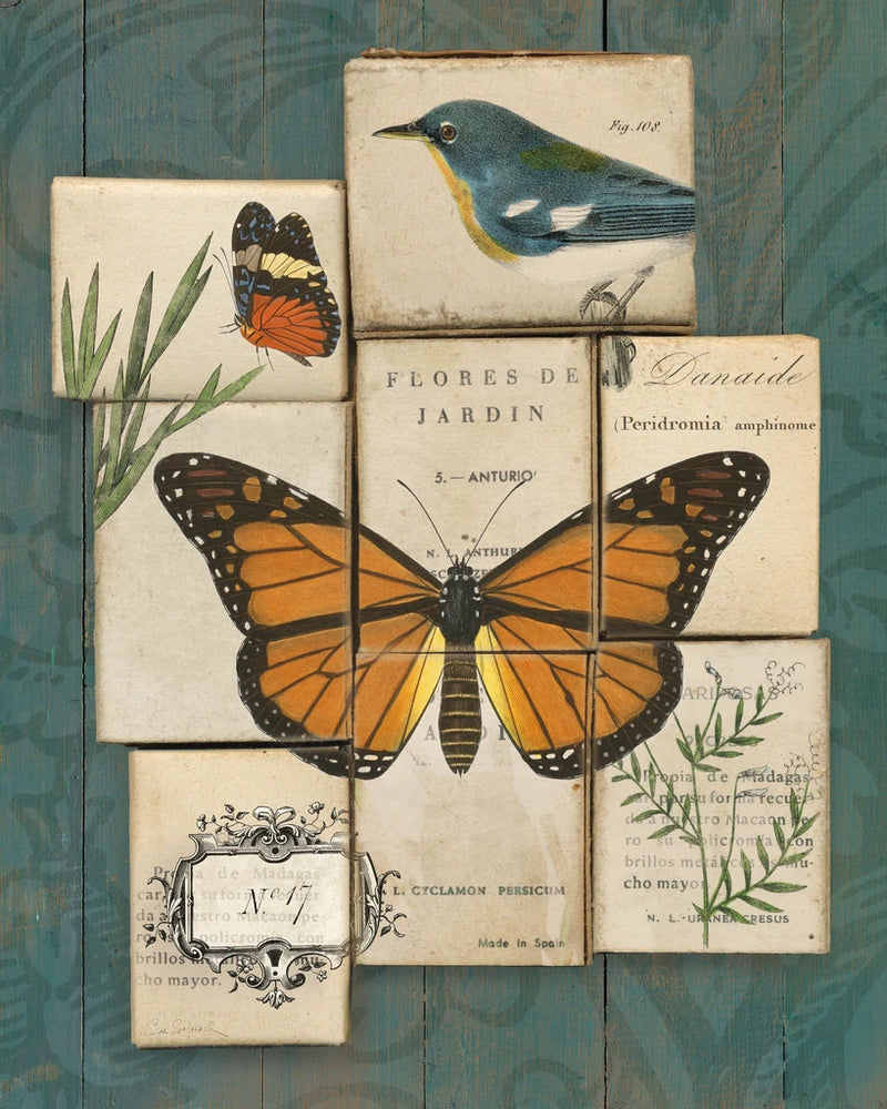 Birds and Butterflies II by Sue Schlabach