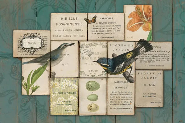 Birds of the Garden by Sue Schlabach. SKU 2802i. Archival Giclee Fine art print for wall decor.