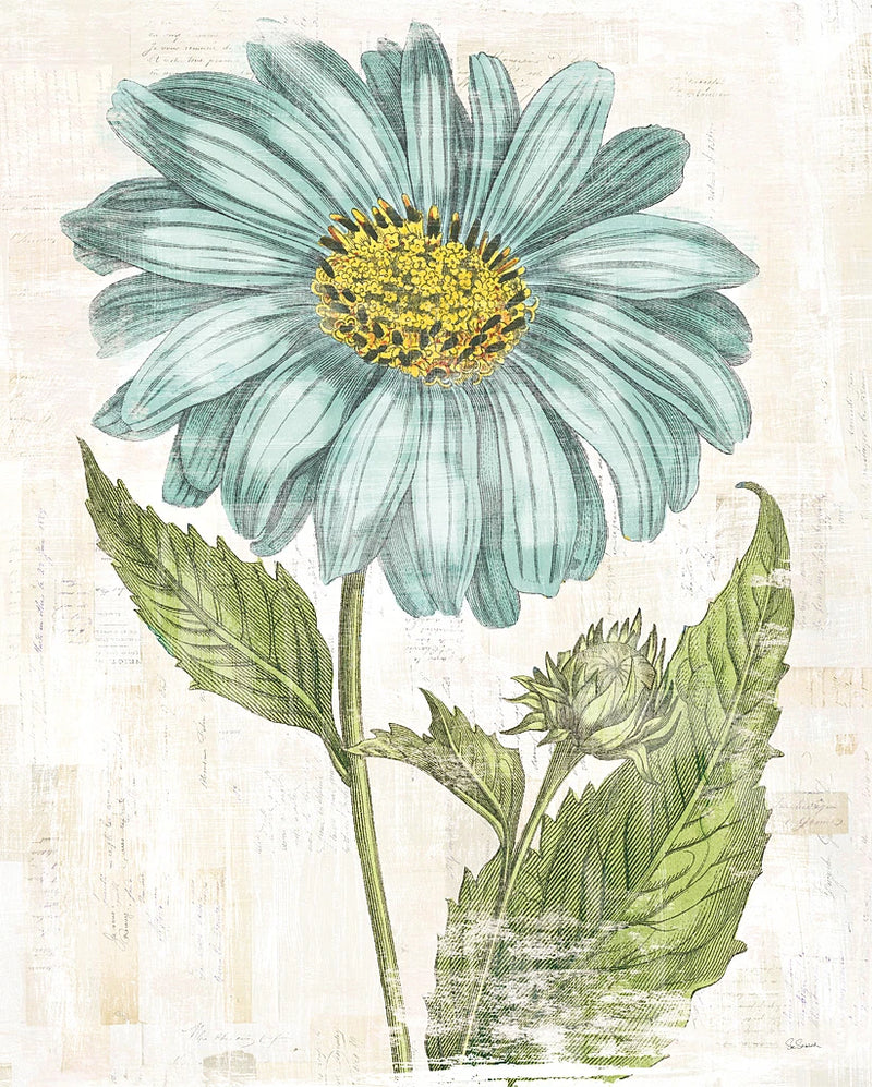 Bloemen Boek II by Sue Schlabach