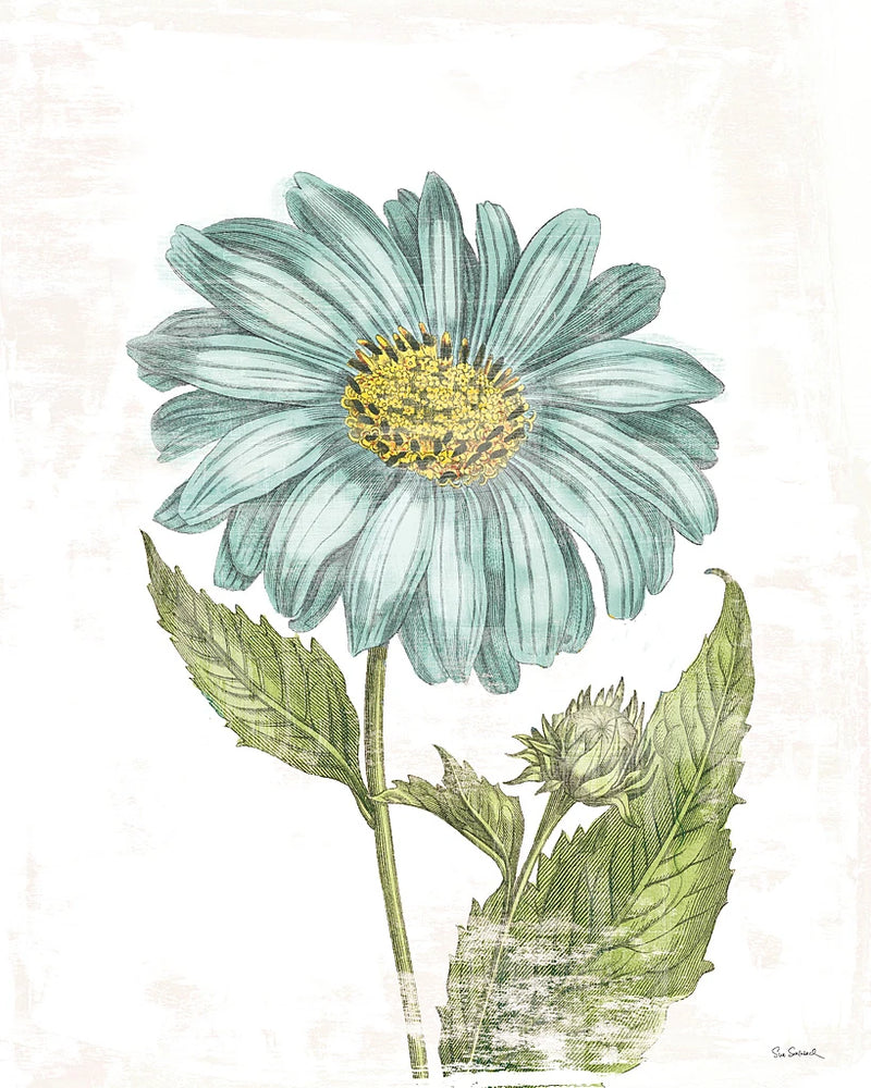 Bloemen Boek II on White by Sue Schlabach