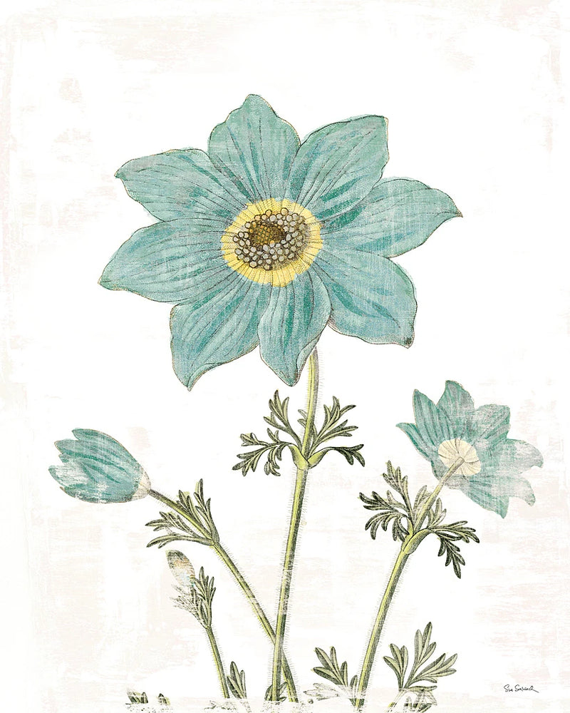 Bloemen Boek III on White by Sue Schlabach