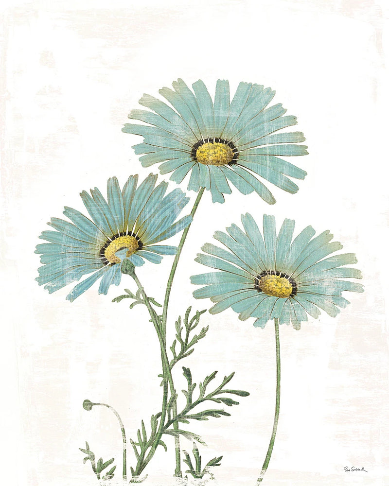 Bloemen Boek IV on White by Sue Schlabach