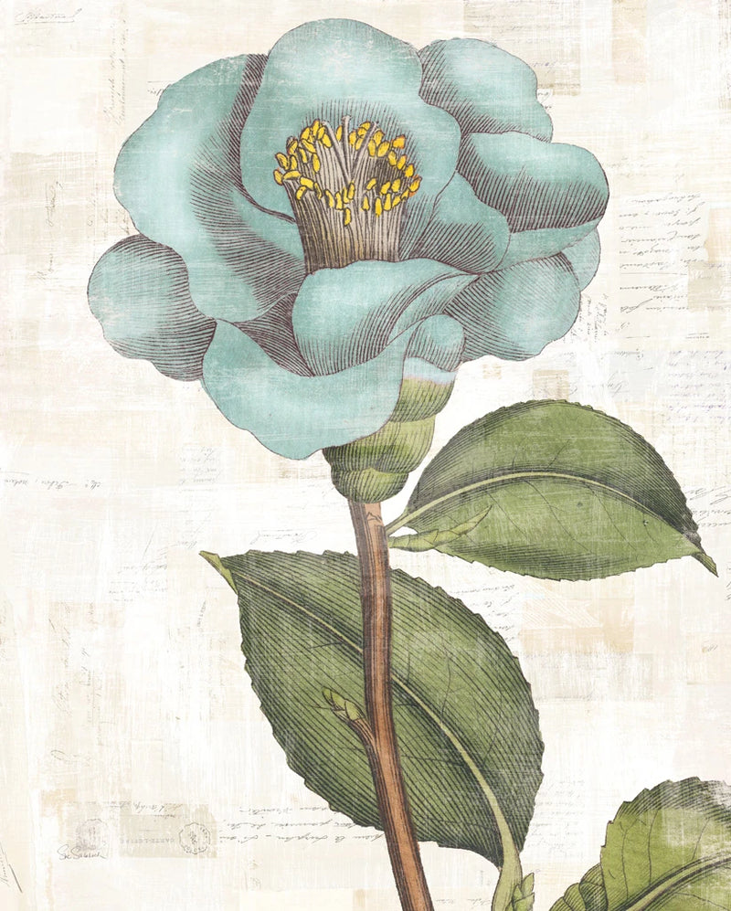 Bloemen Boek V by Sue Schlabach
