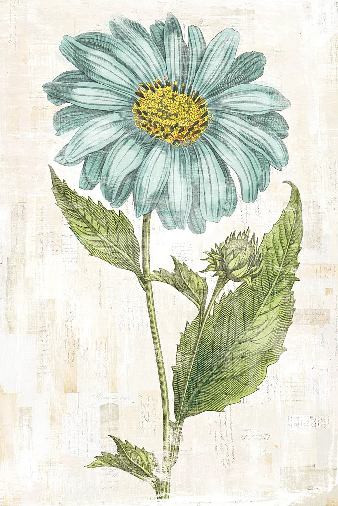 Bloemen Boek VI by Sue Schlabach. SKU 28496h. Archival Giclee Fine art print for wall decor.