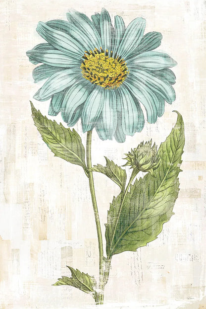 Bloemen Boek VI by Sue Schlabach. SKU 28496h. Archival Giclee Fine art print for wall decor.