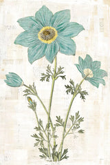 Bloemen Boek VII by Sue Schlabach. SKU 28497h. Archival Giclee Fine art print for wall decor.