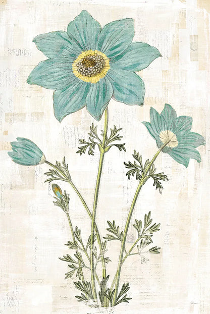 Bloemen Boek VII by Sue Schlabach. SKU 28497h. Archival Giclee Fine art print for wall decor.