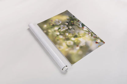 Blush Blossoms I by Sue Schlabach. shown as a rolled paper print. Available as archival giclee rolled canvas, fine art paper, or poster print. SKU 22115i.