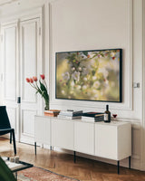 Blush Blossoms I by Sue Schlabach. shown as a framed stretched canvas in a living room above a console. Available as a archival giclee rolled canvas, fine art paper, or poster print. SKU 22115i.