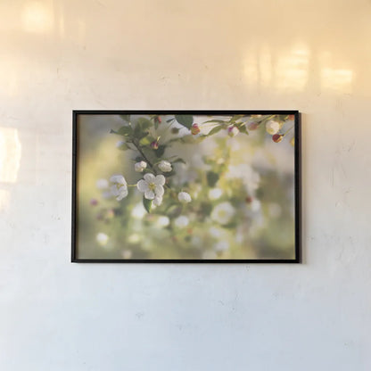 Blush Blossoms I by Sue Schlabach. shown as a paper print in a black flame. Available as a archival giclee rolled canvas, fine art paper, or poster print. SKU 22115i.