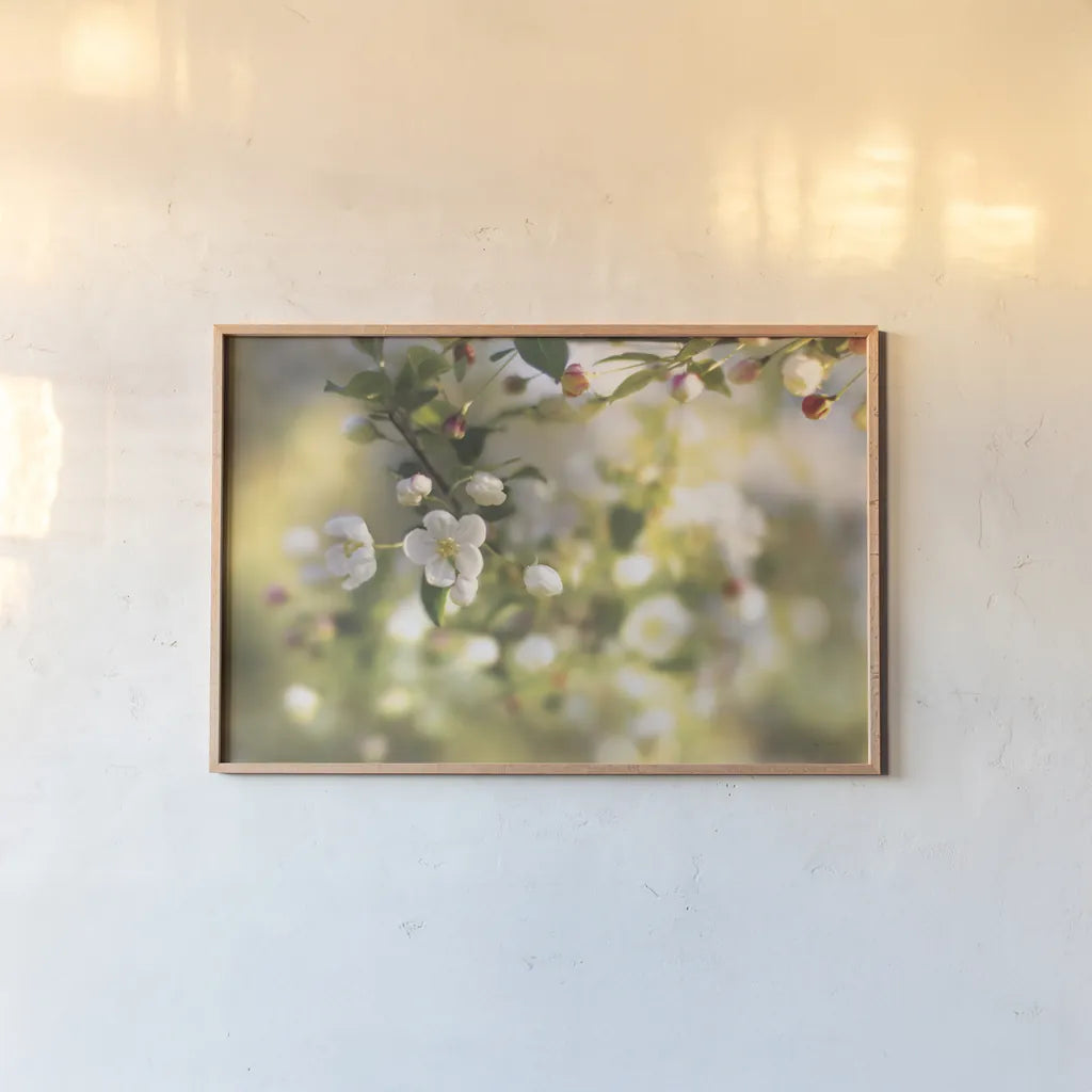 Blush Blossoms I by Sue Schlabach. shown as a paper print in a natural frame. Available as a archival giclee rolled canvas, fine art paper, or poster print. SKU 22115i.