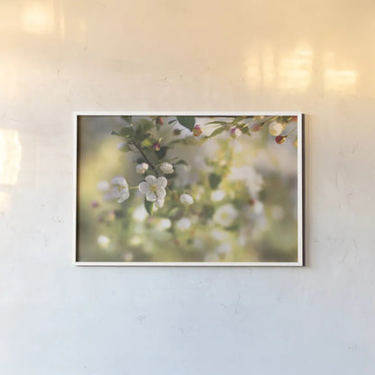 Blush Blossoms I by Sue Schlabach. shown as a paper print in a white frame. Available as a archival giclee rolled canvas, fine art paper, or poster print. SKU 22115i.