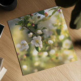 Blush Blossoms I Square by Sue Schlabach. Shown as a detailed flat fine art print, highlighting archival giclee quality. Available as an archival giclee rolled canvas, fine art paper, or poster print. SKU 22115a.