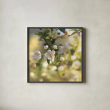 Blush Blossoms I Square by Sue Schlabach. Shown in a sleek black glass frame for a contemporary gallery look. Available as an archival giclee rolled canvas, fine art paper, or poster print. SKU 22115a.