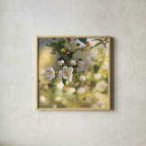 Blush Blossoms I Square by Sue Schlabach. Shown in a natural wood glass frame for a timeless modern aesthetic. Available as an archival giclee rolled canvas, fine art paper, or poster print. SKU 22115a.