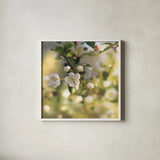 Blush Blossoms I Square by Sue Schlabach. Shown in a crisp white glass frame for a clean and minimalist style. Available as an archival giclee rolled canvas, fine art paper, or poster print. SKU 22115a.