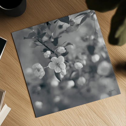 Blush Blossoms I Square BW by Sue Schlabach. Shown as a detailed flat fine art print, highlighting archival giclee quality. Available as an archival giclee rolled canvas, fine art paper, or poster print. SKU 22117a.