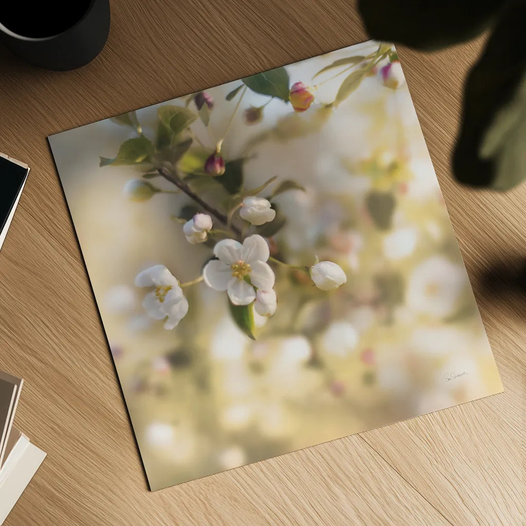 Blush Blossoms I Square Pastel by Sue Schlabach. Shown as a detailed flat fine art print, highlighting archival giclee quality. Available as an archival giclee rolled canvas, fine art paper, or poster print. SKU 22119a.