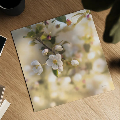 Blush Blossoms I Square Pastel by Sue Schlabach. Shown as a detailed flat fine art print, highlighting archival giclee quality. Available as an archival giclee rolled canvas, fine art paper, or poster print. SKU 22119a.