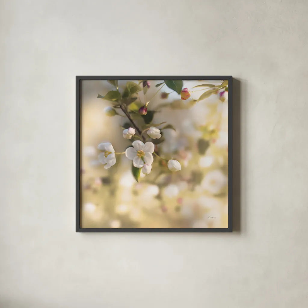 Blush Blossoms I Square Pastel by Sue Schlabach. Shown in a sleek black glass frame for a contemporary gallery look. Available as an archival giclee rolled canvas, fine art paper, or poster print. SKU 22119a.