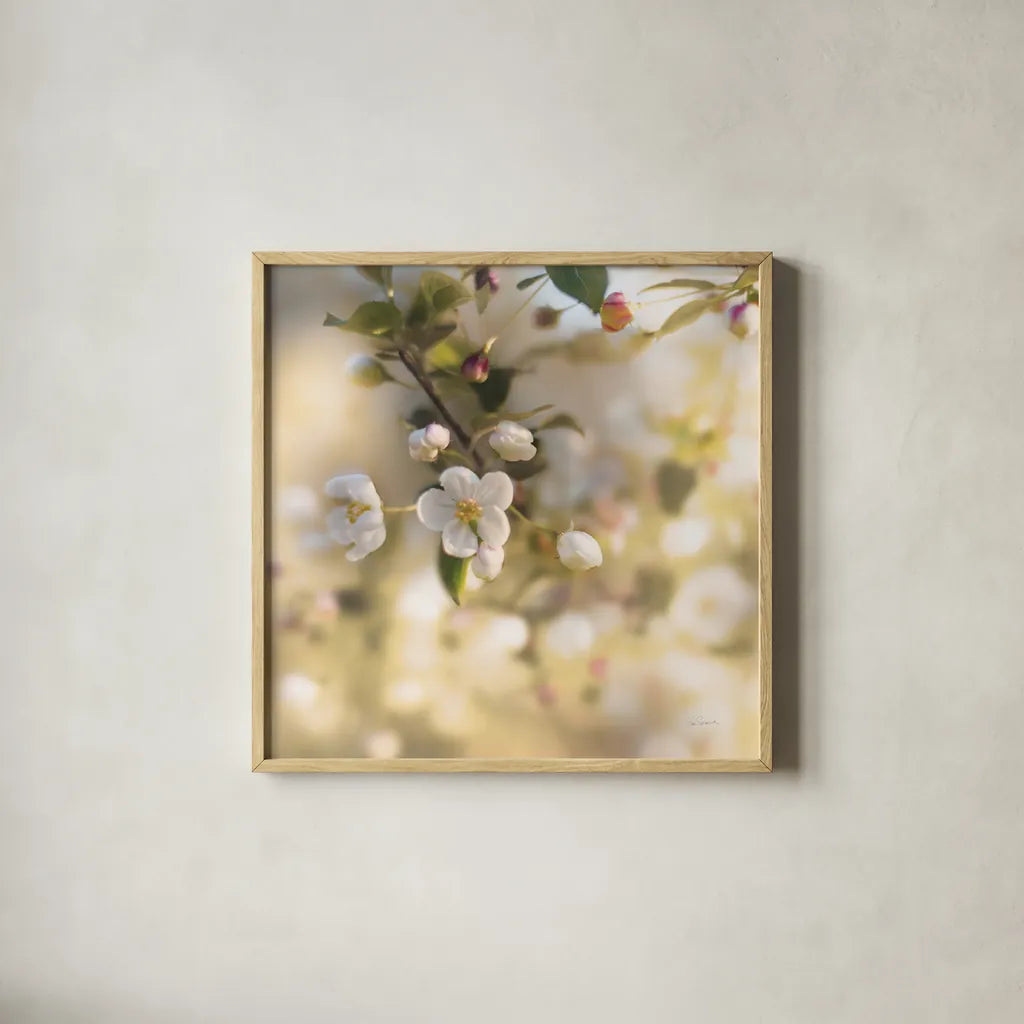 Blush Blossoms I Square Pastel by Sue Schlabach. Shown in a natural wood glass frame for a timeless modern aesthetic. Available as an archival giclee rolled canvas, fine art paper, or poster print. SKU 22119a.