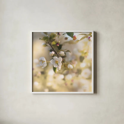 Blush Blossoms I Square Pastel by Sue Schlabach. Shown in a crisp white glass frame for a clean and minimalist style. Available as an archival giclee rolled canvas, fine art paper, or poster print. SKU 22119a.