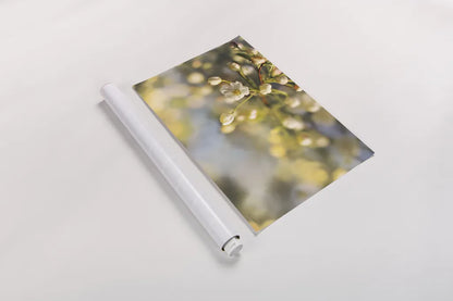 Blush Blossoms II by Sue Schlabach. shown as a rolled paper print. Available as archival giclee rolled canvas, fine art paper, or poster print. SKU 22116i.