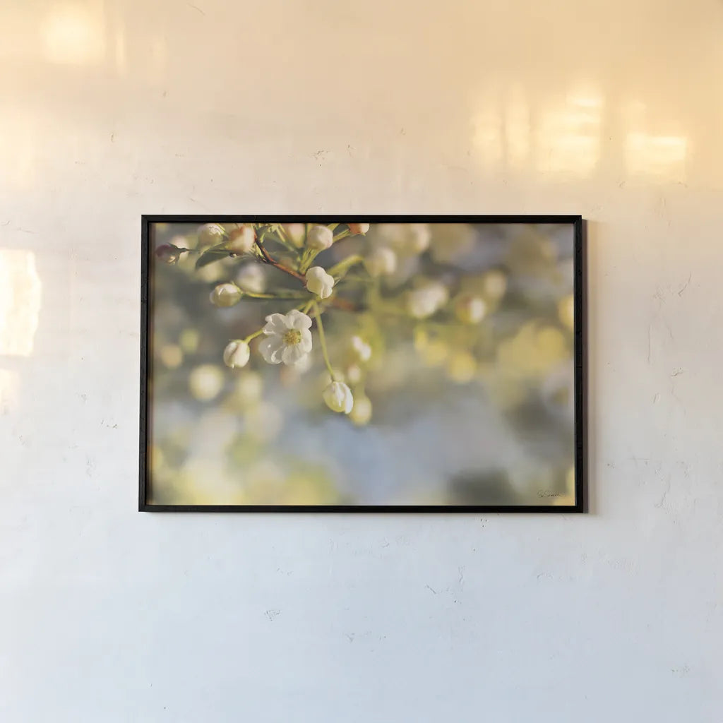 Blush Blossoms II by Sue Schlabach. shown as a paper print in a black flame. Available as a archival giclee rolled canvas, fine art paper, or poster print. SKU 22116i.