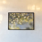 Blush Blossoms II by Sue Schlabach. shown as a paper print in a black flame. Available as a archival giclee rolled canvas, fine art paper, or poster print. SKU 22116i.