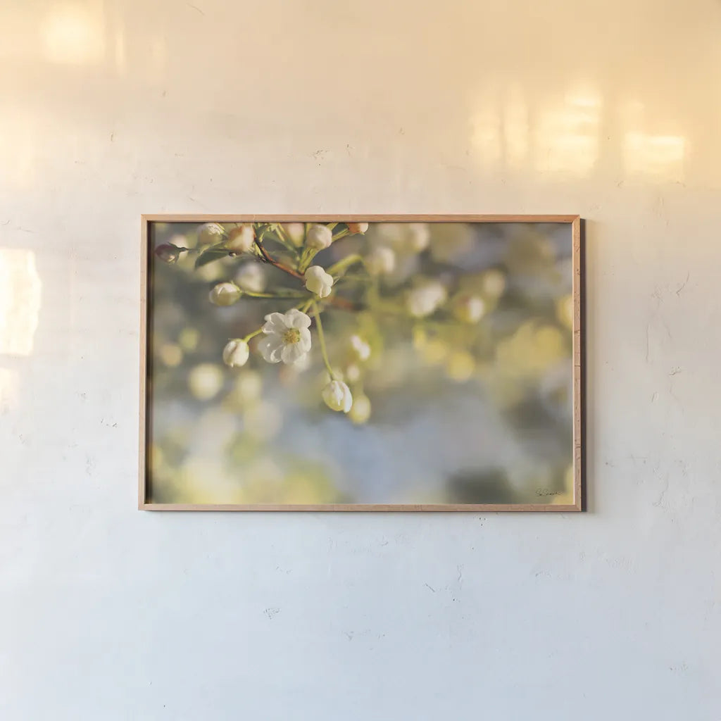 Blush Blossoms II by Sue Schlabach. shown as a paper print in a natural frame. Available as a archival giclee rolled canvas, fine art paper, or poster print. SKU 22116i.