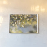 Blush Blossoms II by Sue Schlabach. shown as a paper print in a white frame. Available as a archival giclee rolled canvas, fine art paper, or poster print. SKU 22116i.