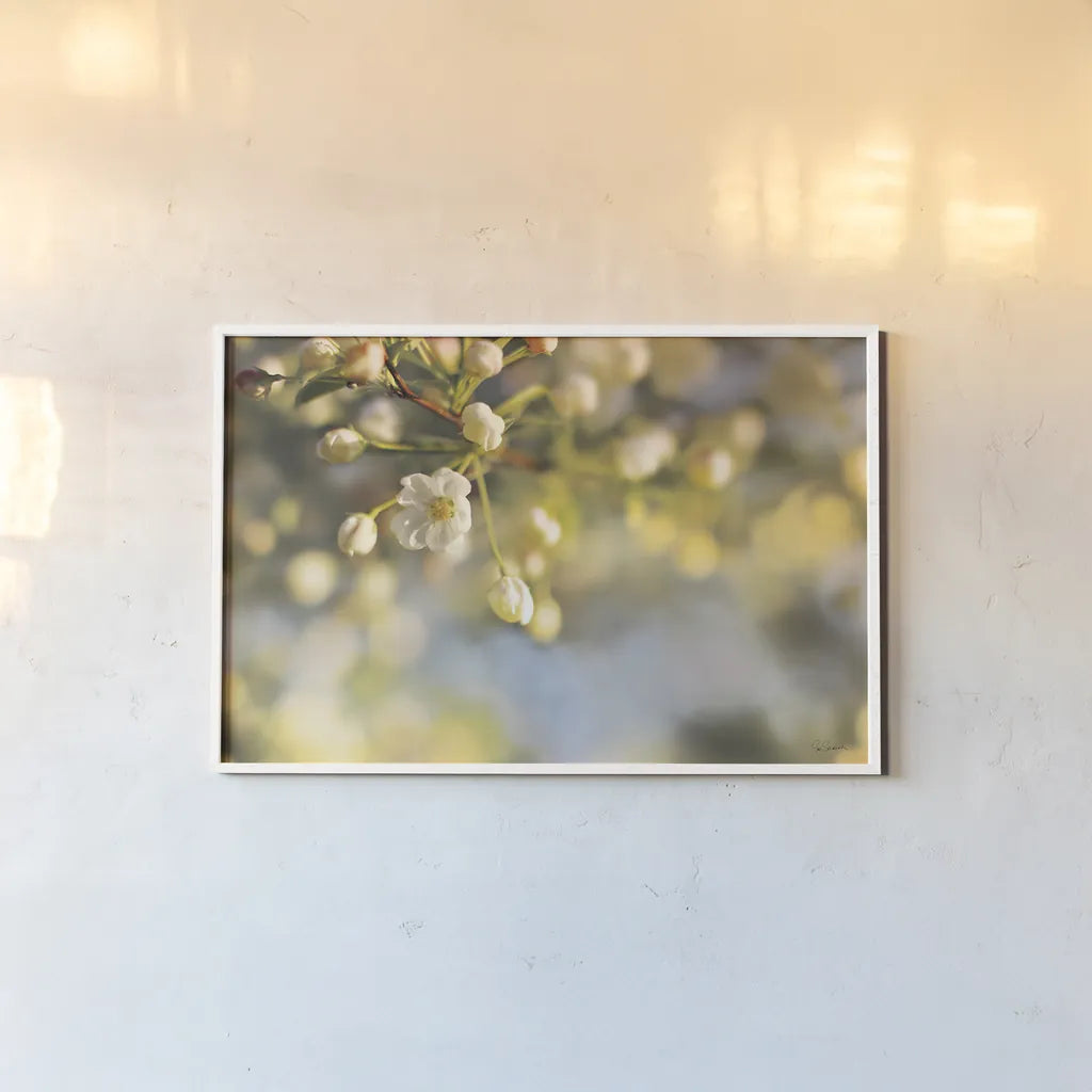 Blush Blossoms II by Sue Schlabach. shown as a paper print in a white frame. Available as a archival giclee rolled canvas, fine art paper, or poster print. SKU 22116i.