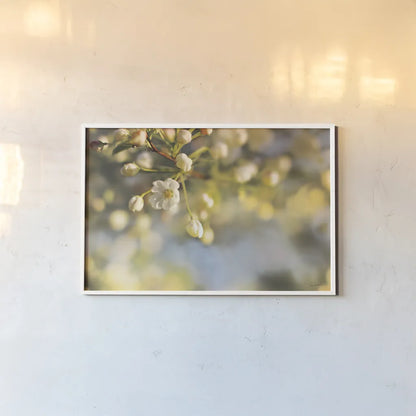 Blush Blossoms II by Sue Schlabach. shown as a paper print in a white frame. Available as a archival giclee rolled canvas, fine art paper, or poster print. SKU 22116i.