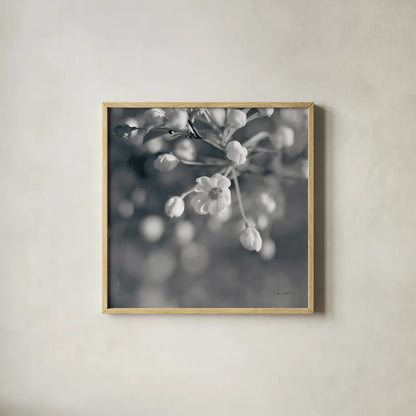 Blush Blossoms II Square BW by Sue Schlabach. Shown in a natural wood glass frame for a timeless modern aesthetic. Available as an archival giclee rolled canvas, fine art paper, or poster print. SKU 22118a.