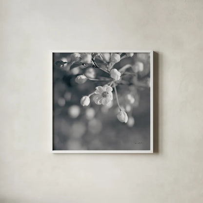 Blush Blossoms II Square BW by Sue Schlabach. Shown in a crisp white glass frame for a clean and minimalist style. Available as an archival giclee rolled canvas, fine art paper, or poster print. SKU 22118a.