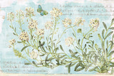 Botany Blue I by Sue Schlabach. SKU 28461i. Archival Giclee Fine art print for wall decor.
