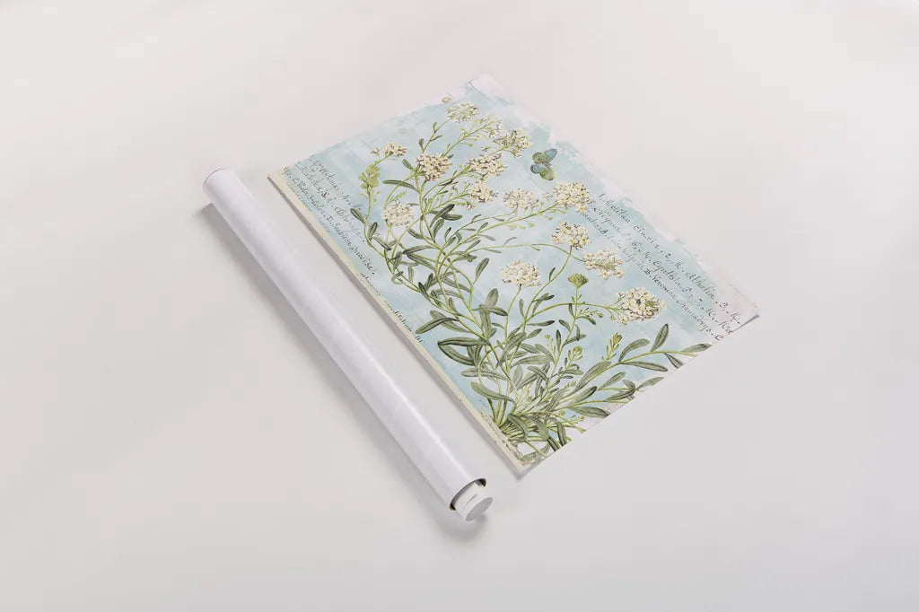 Botany Blue I by Sue Schlabach. shown as a rolled paper print. Available as archival giclee rolled canvas, fine art paper, or poster print. SKU 28461i.