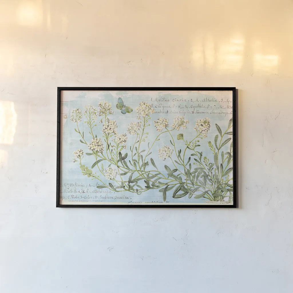 Botany Blue I by Sue Schlabach. shown as a paper print in a black flame. Available as a archival giclee rolled canvas, fine art paper, or poster print. SKU 28461i.