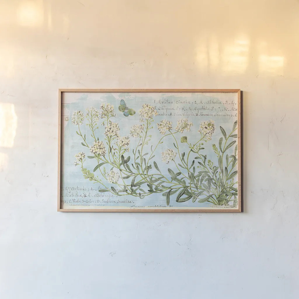 Botany Blue I by Sue Schlabach. shown as a paper print in a natural frame. Available as a archival giclee rolled canvas, fine art paper, or poster print. SKU 28461i.