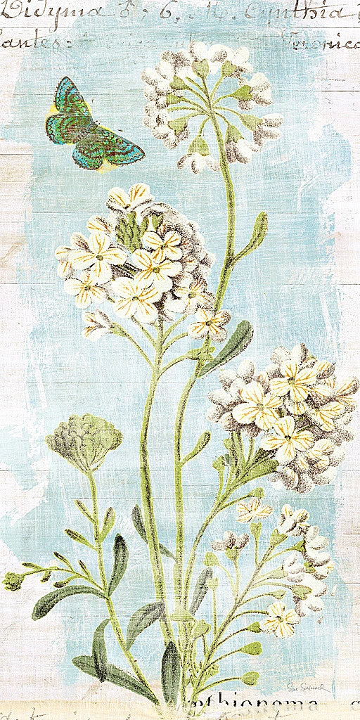 Botany Blue II by Sue Schlabach