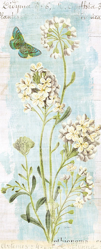 Botany Blue II by Sue Schlabach