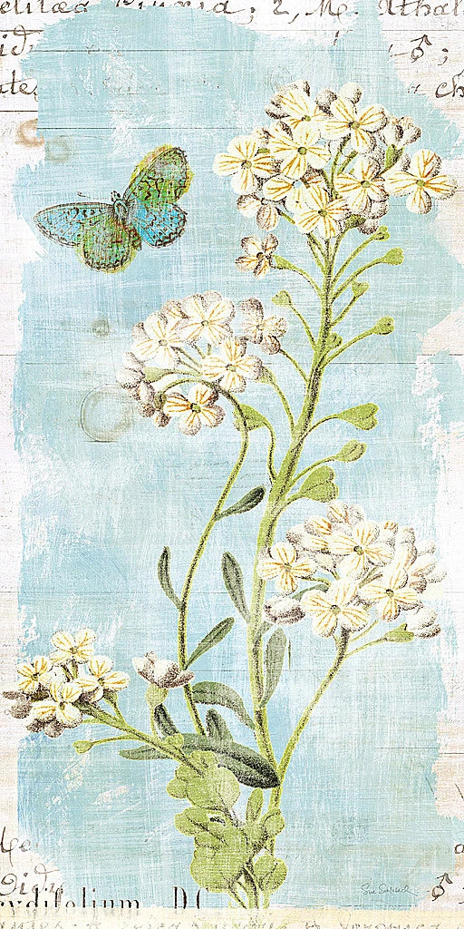 Botany Blue III by Sue Schlabach