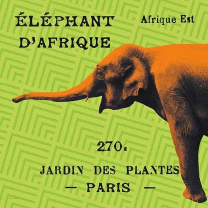 Bright Safari Elephant by Sue Schlabach. SKU 18528a. Archival Giclee Fine art print for wall decor.