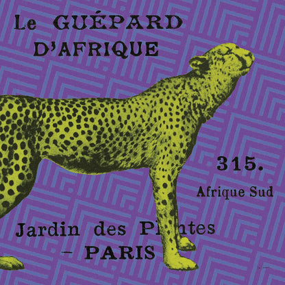 Bright Safari Leopard by Sue Schlabach. SKU 18530a. Archival Giclee Fine art print for wall decor.