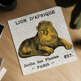 Bright Safari Lion on Taupe by Sue Schlabach. Shown as a detailed flat fine art print, highlighting archival giclee quality. Available as an archival giclee rolled canvas, fine art paper, or poster print. SKU 44790a.