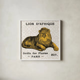 Bright Safari Lion on Taupe by Sue Schlabach. Shown in a crisp white glass frame for a clean and minimalist style. Available as an archival giclee rolled canvas, fine art paper, or poster print. SKU 44790a.