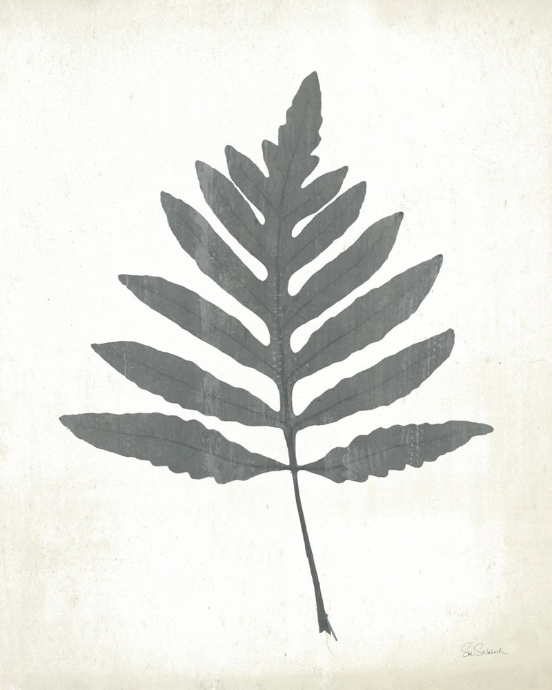Chalkboard Fern I by Sue Schlabach