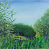 Charlottes Lupine Field by Sue Schlabach. SKU 91526a. Archival Giclee Fine art print for wall decor.